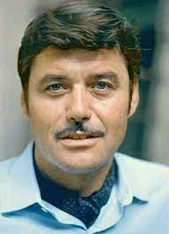 1708016198352.png 1708016198352.png