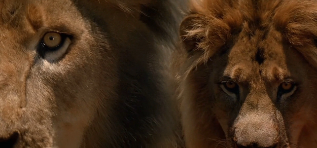 1708098248518.png 1708098248518.png