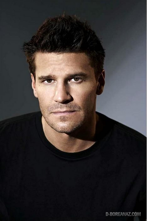 1708140009087.png 1708140009087.png