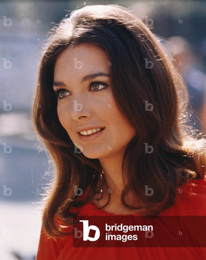 1711560951933.png 1711560951933.png