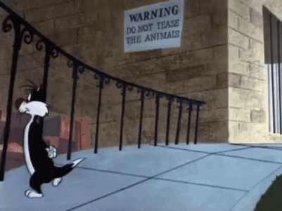 234ed8c25e855ff6c9ddbf5662522996.gif
