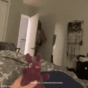 vinku_vinku.gif