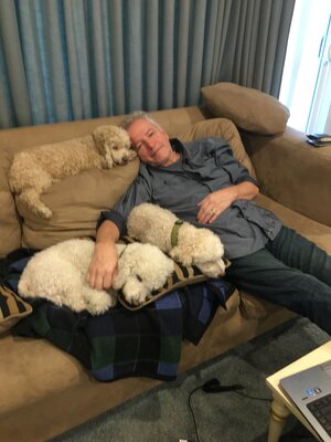 muh dawgs.JPG