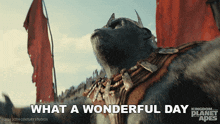 1719249422677.gif