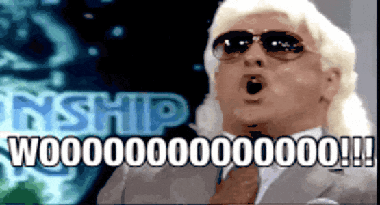 wrestler-ric-flair-woo-learn-to-love-it-j9p0oh270q3iczy0 (1).gif