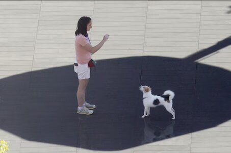Screenshot_20240701_205021_Gallery.jpg
