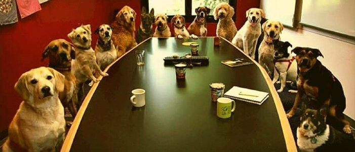 councilofcanines.jpg