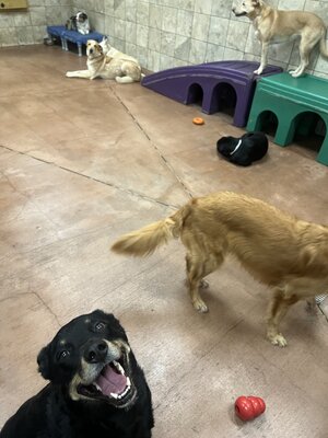 1720625127610.jpeg
