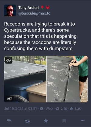 0awfo9fiwldd1.jpeg