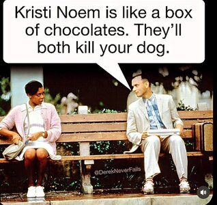 Dog People.jpg