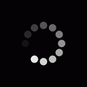 IMG_1585.gif