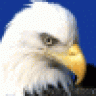 EagleVision