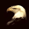 Black Hawk