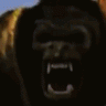 KingKong2005