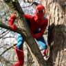 SpideyInATree